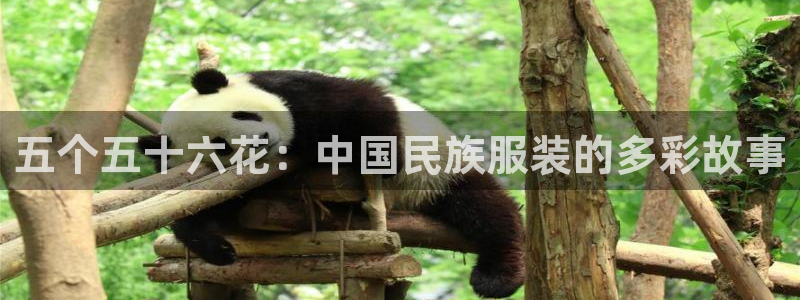 星欧娱乐下载官网