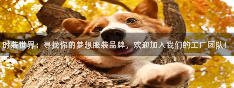 欧星老虎机娱乐