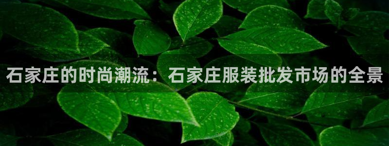 星欧娱乐游戏