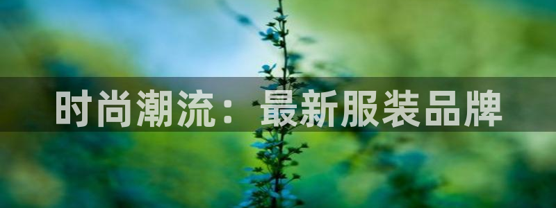 星欧娱乐扣费详情详解