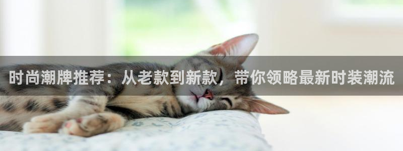 星欧娱乐是什么