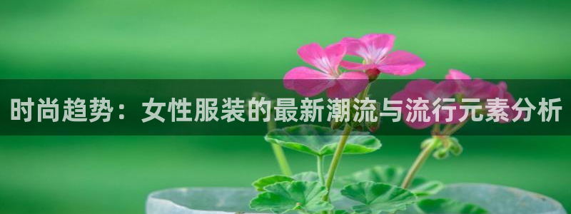 欧星娱乐网址