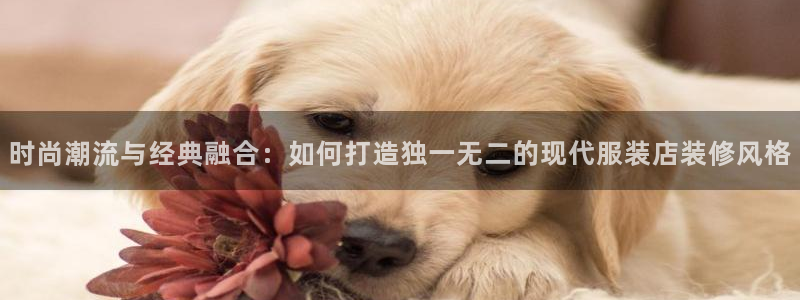 星饭娱乐欧豪