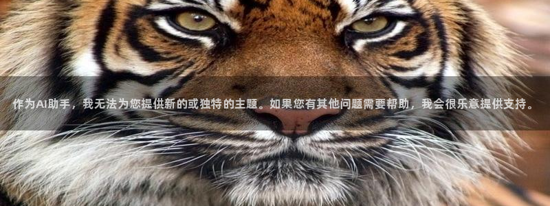 星辉娱乐进入欧联杯了吗