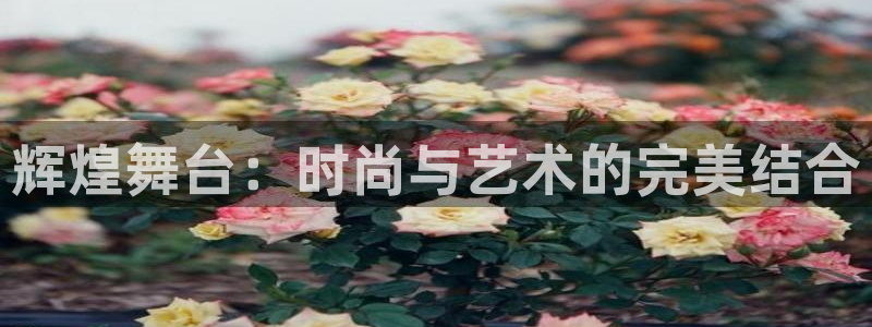 星欧娱乐最新消息今天