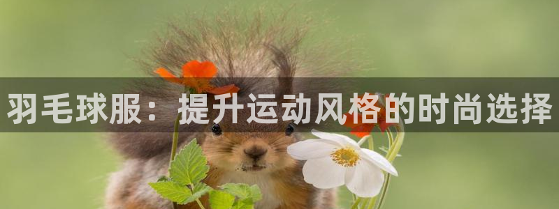 星欧娱乐官网客服电话