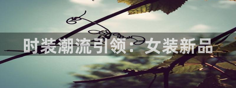星欧娱乐平台是什么