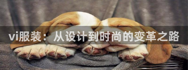 星欧娱乐2024