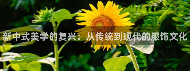 星欧娱乐平台怎么样