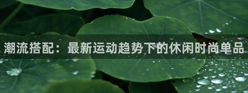 星欧娱乐的官方网站