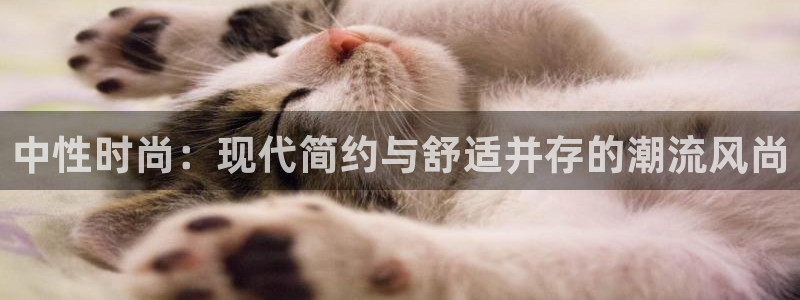星欧娱乐公司