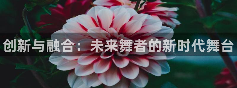 星欧娱乐官网在线登录入口