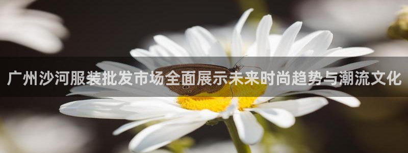 欧星娱乐下载
