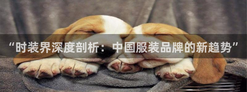 星欧娱乐
