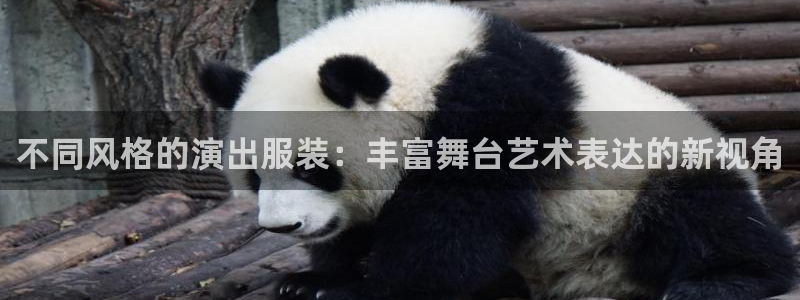 欧星国际娱乐