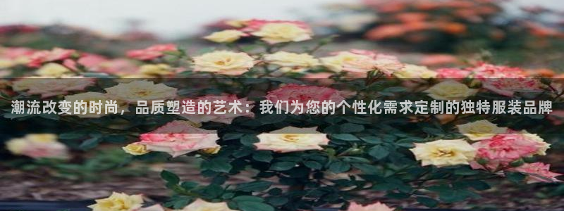 欧星娱乐视频