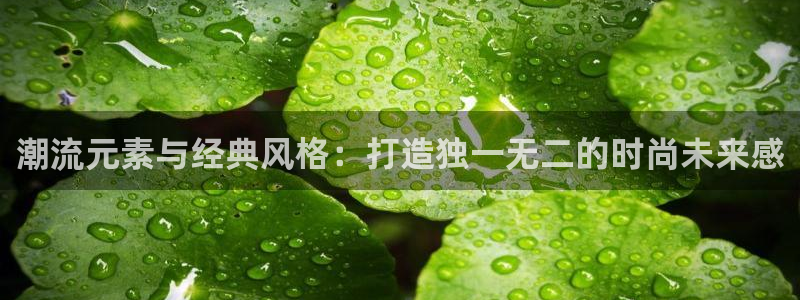 常州欧尚超市五星店娱乐