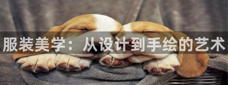 星欧娱乐app登录入口