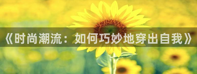 星欧娱乐官方客服电话