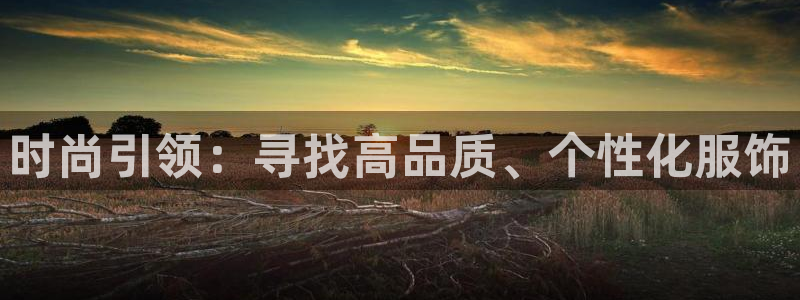 星辉娱乐欧联杯转播