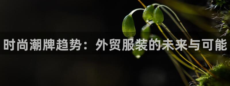 欧星娱乐是做什么的