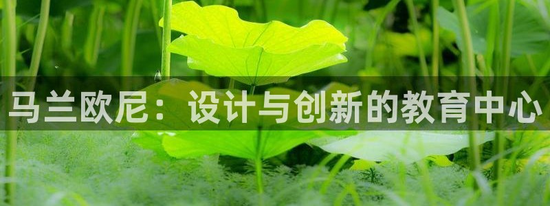 欧乐星城娱乐的介绍