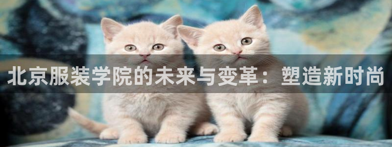 欧乐星城娱乐视频