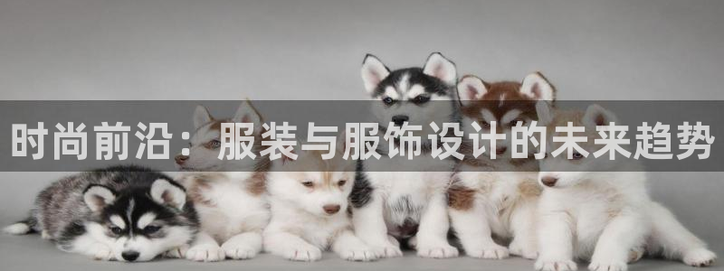 星欧娱乐最新动态消息