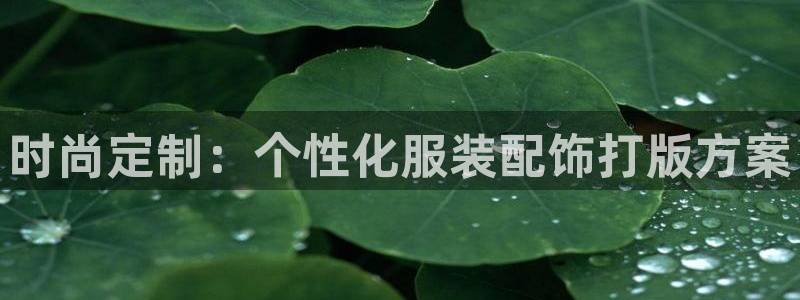 星欧娱乐招商81338