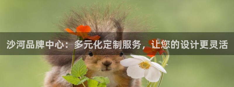 星欧娱乐是什么