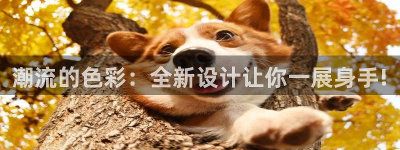 星欧娱乐官方网站