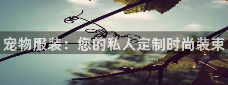 星欧娱乐是什么