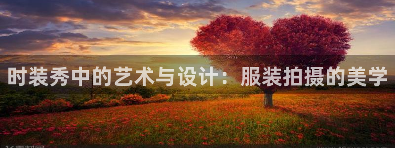 星欧娱乐平台主管