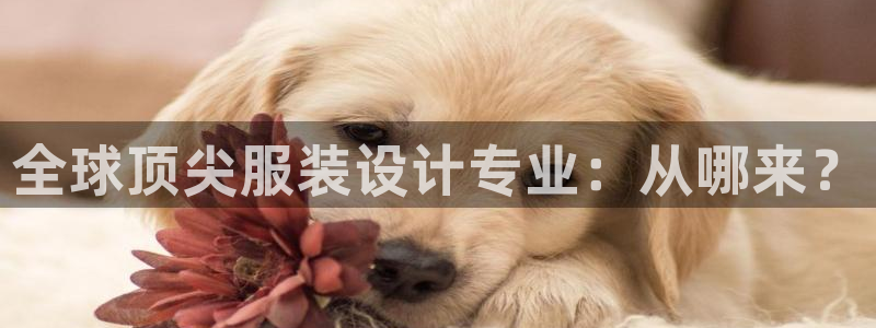 星欧娱乐联客服联系方式