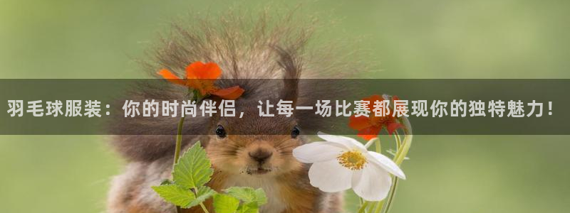 星欧娱乐用户名和密码