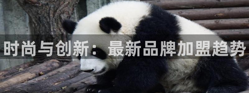 欧星科技娱乐公司