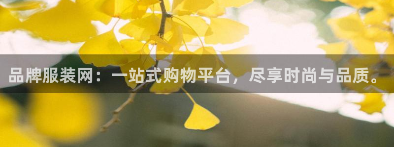 星欧娱乐招商81338