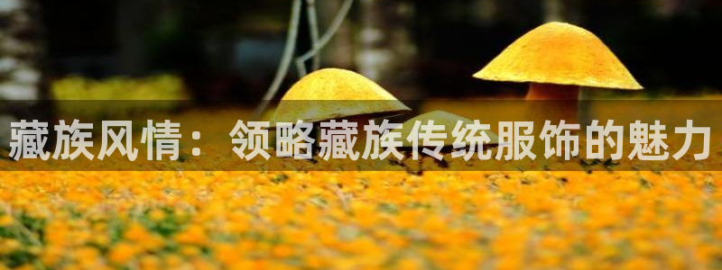 星欧娱乐的创始人背景