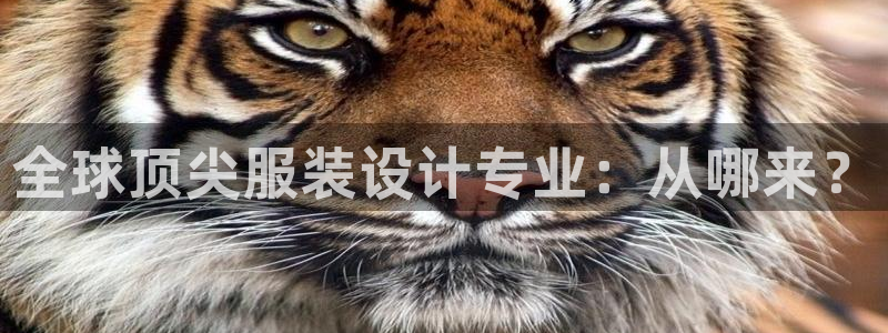 星欧娱乐娱乐是正规的吗