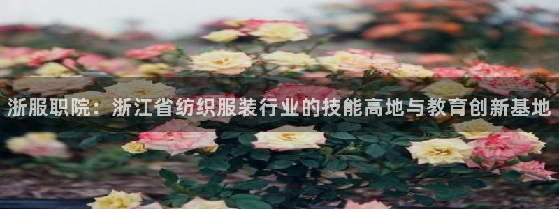 星欧娱乐最近怎么了