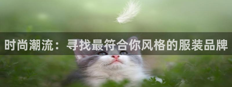 欧星娱乐最新地址