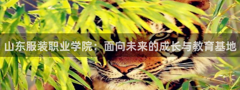 星欧娱乐用户登录中心