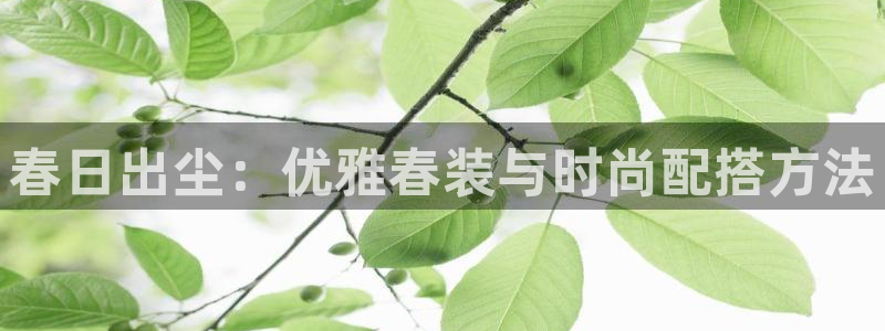 欧星娱乐官网