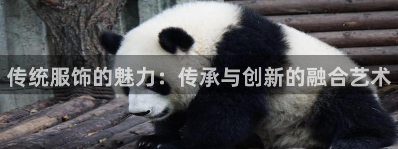 星欧娱乐客服人工电话